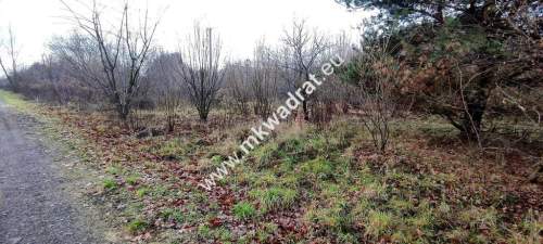  Działka Budowlana 1303 m Budy Grzybek 