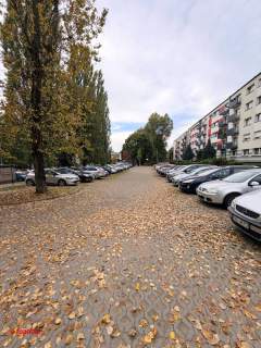Komfortowe, mieszkanie do wynajęcia Zofii Nałkowskiej