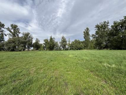 Działka inwestycyjna na sprzedaż, 12000 m2, Słupca
