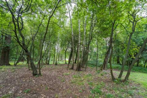 Prywatny park z możliwościa zabudowy/9400m/dostęp do rzeki Zw