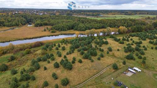 Bezpośrednia linia brzegowa