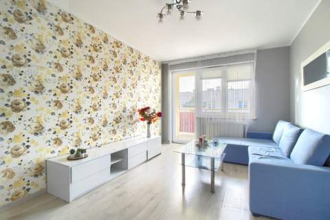 Mieszkanie do wynajęcia, 55 m2, Toruń