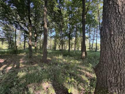 Działka budowlana na sprzedaż, 1709 m2, Rybno Wielkie