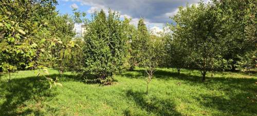 Działka inwestycyjna na sprzedaż, 2500 m2, Wadowice