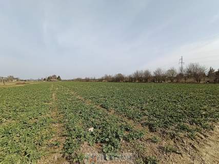 Działka na sprzedaż Stok Lacki