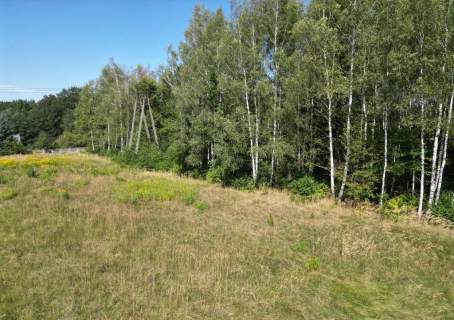 OSTATNIA BUDOWLANA DZIAŁKA 11.5 a ROZKOCHÓW