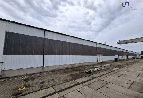 Magazyn do wynajęcia, 3550 m2, Sosnowiec