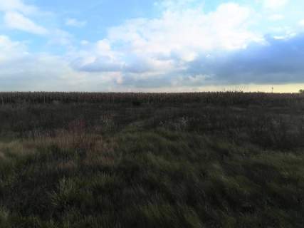 Działka siedliskowa na sprzedaż, 2681 m2, Gniezno