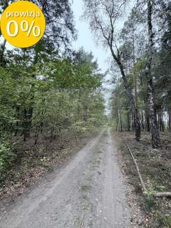 siedlisko 1,8 ha, dom, las, 5 min do stacji PKP Czachówek