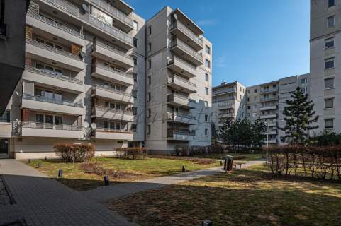 Przytulne mieszkanie na wynajem Marina Mokotów