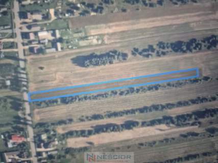 Działka rolna 5800 m2 -Dąbrowa, gm Mrozy