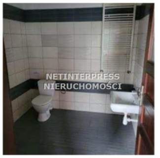 Sprzedaż hali produkcyjnej-Strzelin, Pęcz 68