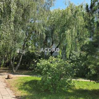 Natolin 52,7 m2 1/4p loggia