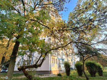 2 pok po gen. remoncie, winda, balkon KSM