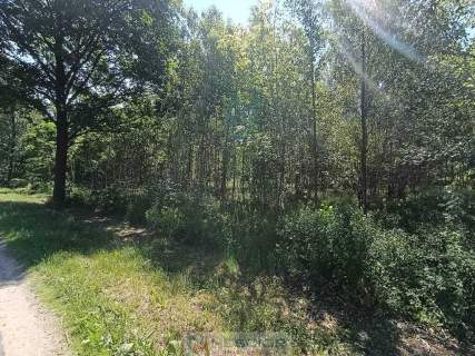 Działki budowlane z warunkami zabudowy 130zł/m2