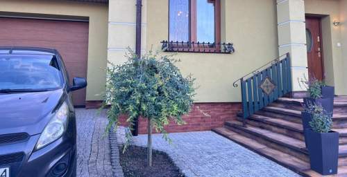 Apartament bezczynszowy z ogródkiem i garażem