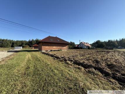 Dom, 250 m2, Gołęczyna, gm. Pilzno