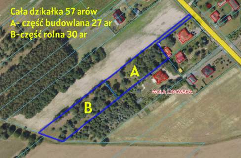 Duża działka 0,6 ha rolno budowlana Wola Lisowska