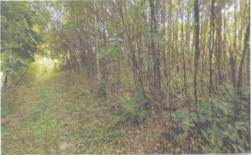 Działka rolna na sprzedaż, 5600 m2, Barycz