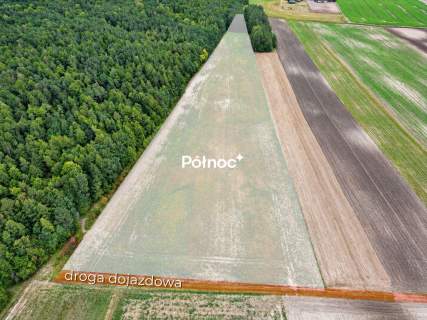 3,71 ha ziemi rolnej część zalesiona Depułtycze Królewskie