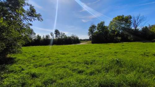 Działka 2300 m2 pod Twój wymarzony dom 
