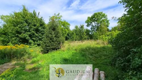 W zaciszu drzew -działka z WZ Warmia Lubianka