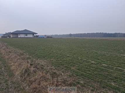 Działka budowlana 1000 m w Boroszkowie
