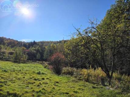 DREWNIANY DOM NA WZGÓRZU WŚRÓD LASÓW, 4,04 HA ZIEMI