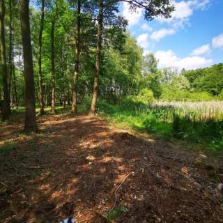 Działka budowlana na sprzedaż, 10904 m2, Anielin Swędowski