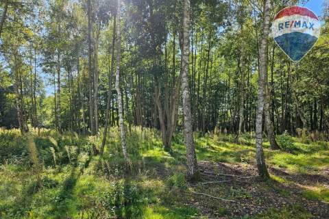 Działka budowlana 2292m2 z lasem nad rzeczką