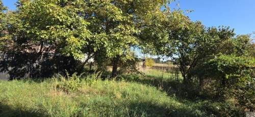 Działka 853 m2 Mikołów - Kamionka / Barbara