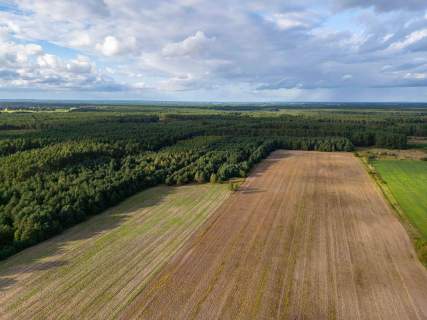 Działka rolna Jędrzejewo, gm. Czarnków