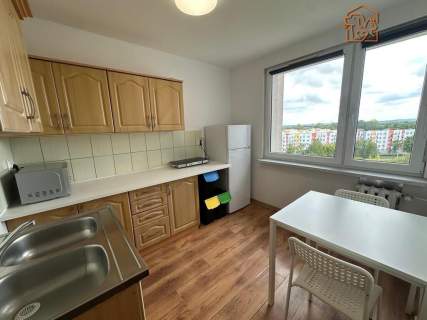 Kawalerka, pet-friendly - Al. Niepodległości 24