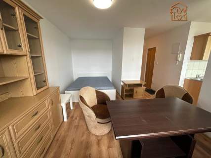 Kawalerka, pet-friendly - Al. Niepodległości 24