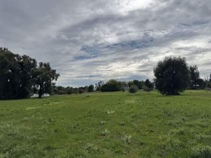 Działka inwestycyjna na sprzedaż, 12000 m2, Słupca