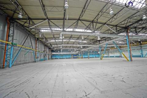 Magazyn do wynajęcia, 6100 m2, Mikołów