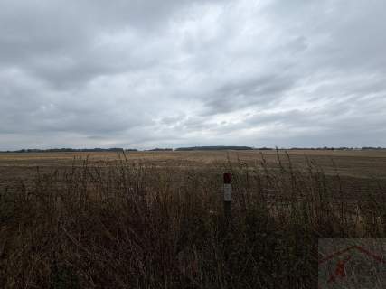 Działka inwestycyjna 1,76 ha WZ na 14 domów Pyrzyce