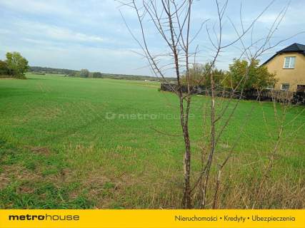 działka budowlana 3000m2 Korzeń/Łąck z MPZP