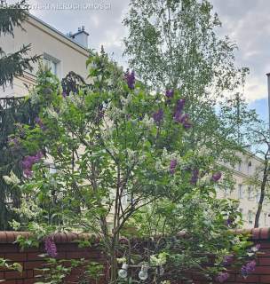 Międzyborska, 4 pok., 82 m2, 2001 r.