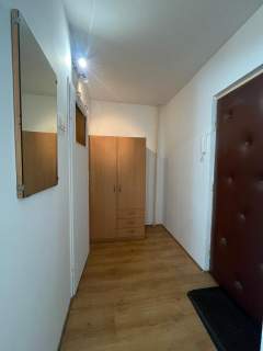 Drewnowska 130, Polesie, kawalerka pet friendly