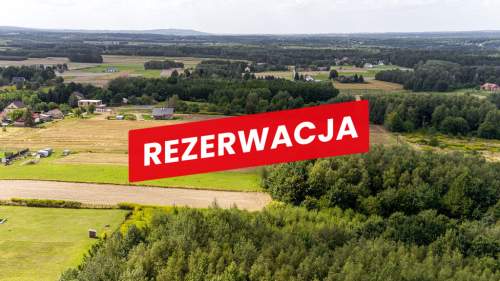 Działka leśna Łęki Dolne - gm. Pilzno