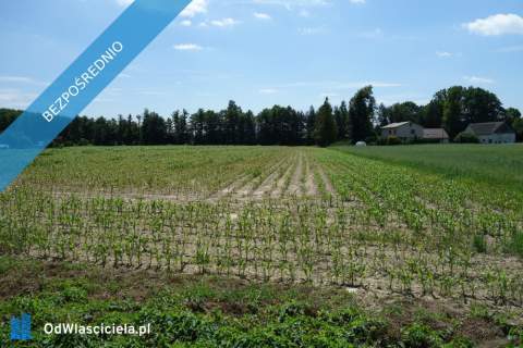 Skoczów Ochaby 1,57ha z cześcią budowlaną 55ar i pod usługi