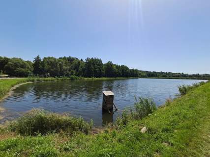 Gm. Rybczewice - Częstoborowice -siedlisko - 20ar