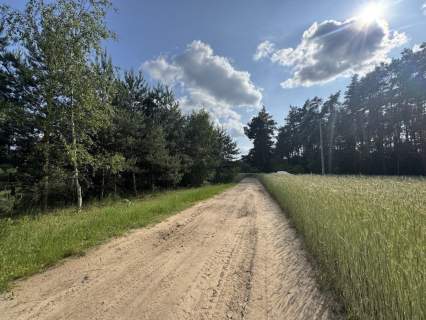 Działka siedliskowa na sprzedaż, 2900 m2, Ochodza