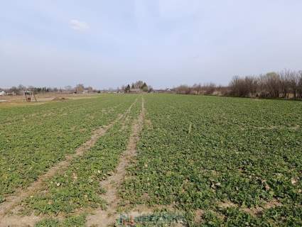 Działka na sprzedaż Stok Lacki