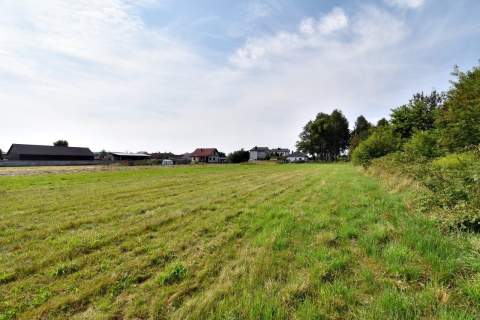 Działka pod Kielcami z MPZP, 9051 m2, Radlin,Górno