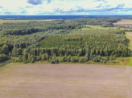 Działka rolna na sprzedaż, 5000 m2, Białogórzyno