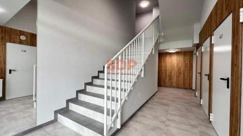 Południowa ekspozycja Widok na zieleń Na start