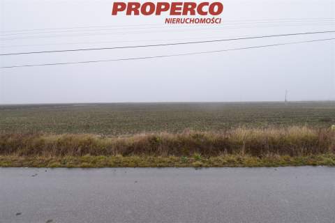 Działka 6200 m2, Potok Mały, gm. Jędrzejów
