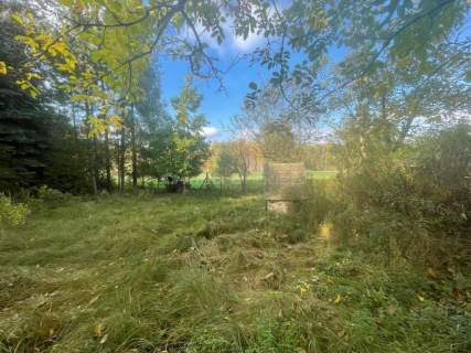 2351 m przy lesie, dom i prywatność Nagawki